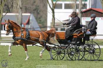 CAN 2* Pardubice - sobota