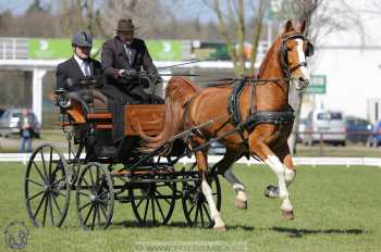 CAN 2* Pardubice - sobota