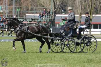 CAN 2* Pardubice - sobota