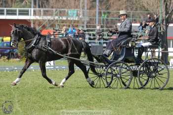 CAN 2* Pardubice - sobota