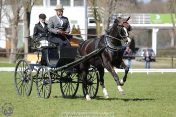 CAN 2* Pardubice - sobota