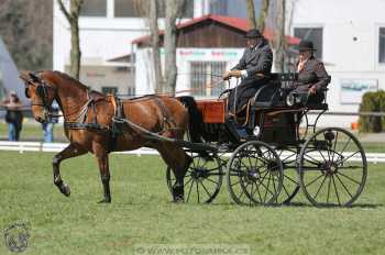 CAN 2* Pardubice - sobota