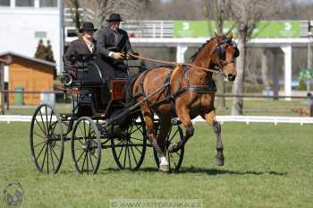 CAN 2* Pardubice - sobota