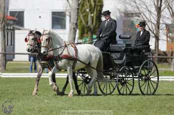 CAN 2* Pardubice - sobota