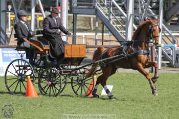 CAN 2* Pardubice - sobota