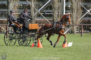 CAN 2* Pardubice - sobota