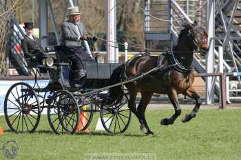 CAN 2* Pardubice - sobota