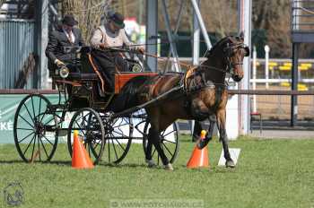 CAN 2* Pardubice - sobota