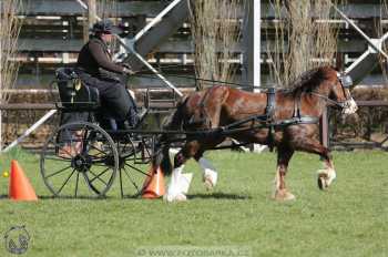 CAN 2* Pardubice - sobota