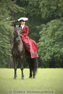 Dáma v sedle