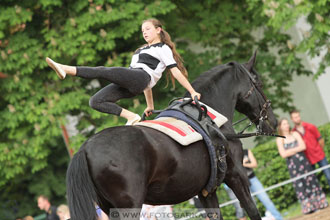 Den starokladrubského koně