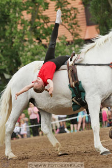 Den starokladrubského koně