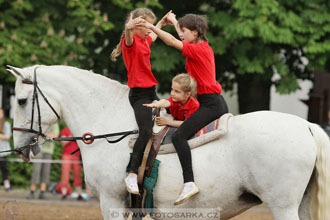 Den starokladrubského koně