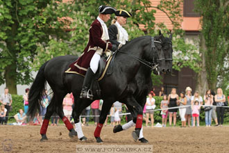 Den starokladrubského koně