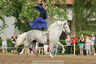 Den starokladrubského koně