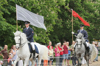 Den starokladrubského koně