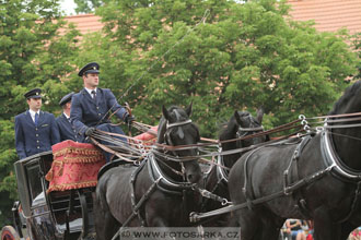 Den starokladrubského koně
