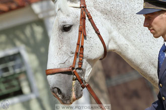 Den starokladrubského koně
