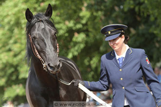 Den starokladrubského koně