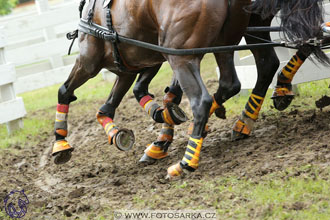 Fábiánsebastyén (HUN)