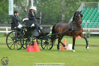 Fábiánsebastyén (HUN)