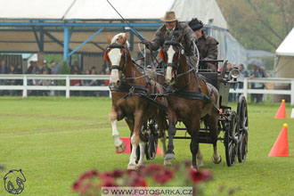 Fábiánsebastyén (HUN)