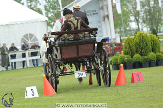 Fábiánsebastyén (HUN)