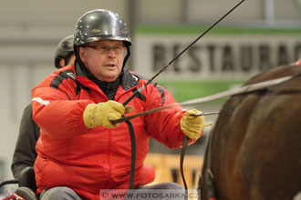 Halové závody spřežení - Lysá nad Labem