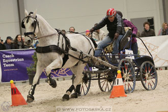 Halové závody spřežení - Lysá nad Labem