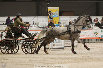 Halové závody spřežení - Lysá nad Labem