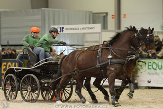 Halové závody spřežení - Lysá nad Labem