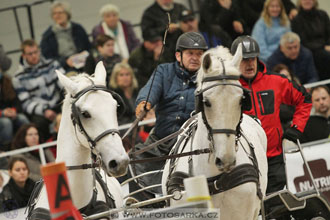 Halové závody spřežení - Lysá nad Labem