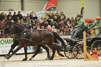 Halové závody spřežení - Lysá nad Labem