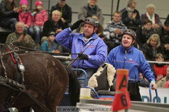 Halové závody spřežení - Lysá nad Labem