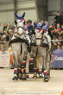Halové závody spřežení - Lysá nad Labem