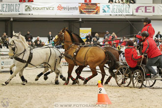 Halové závody spřežení - Lysá nad Labem