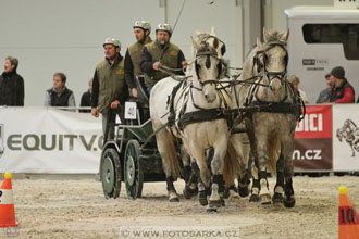 Halové závody spřežení - Lysá nad Labem