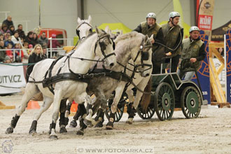Halové závody spřežení - Lysá nad Labem