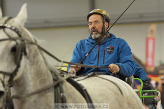 Halové závody spřežení - Lysá nad Labem