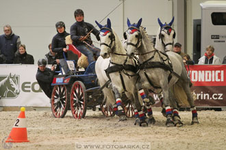 Halové závody spřežení - Lysá nad Labem