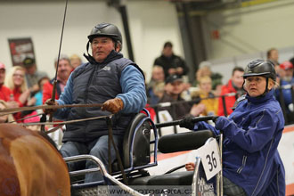 Halové závody spřežení - Lysá nad Labem
