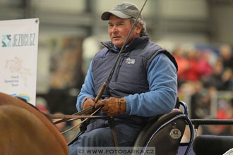 Halové závody spřežení - Lysá nad Labem