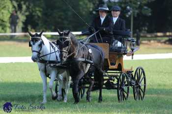 Heřmanův Městec 2018 - drezura