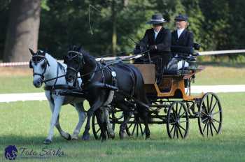 Heřmanův Městec 2018 - drezura