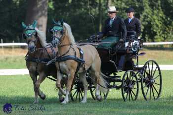 Heřmanův Městec 2018 - drezura