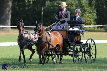 Heřmanův Městec 2018 - drezura