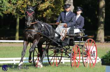 Heřmanův Městec 2018 - drezura