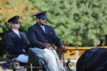 Heřmanův Městec 2018 - drezura