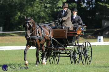 Heřmanův Městec 2018 - drezura