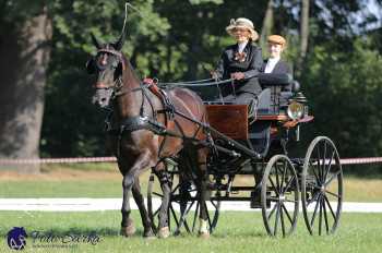 Heřmanův Městec 2018 - drezura